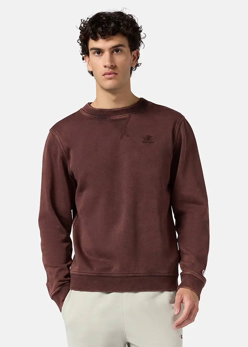 Crewneck Sweatshirt 13010340