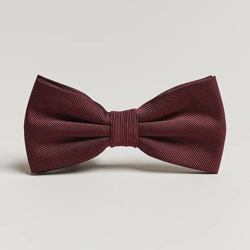 Pre Tie Silk Bordeaux
