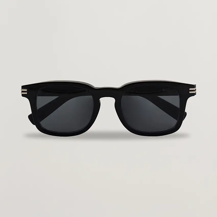 EZ0230 Sunglasses Black/Smoke
