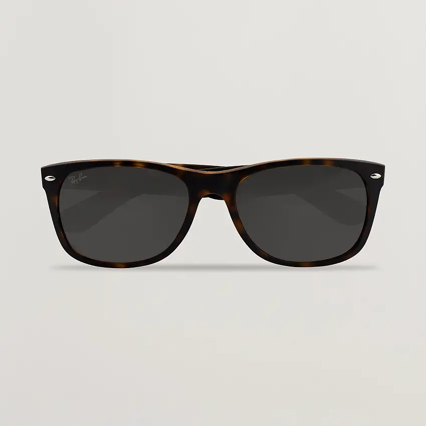 New Wayfarer Sunglasses Havana
