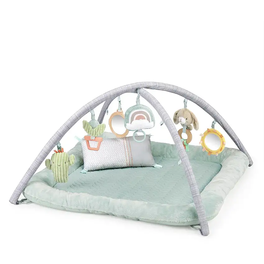 Ingenuity Premium Plush Gym