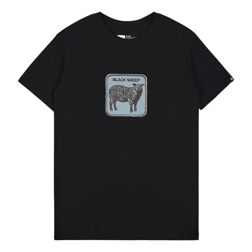 Goorin Bros  Sheep