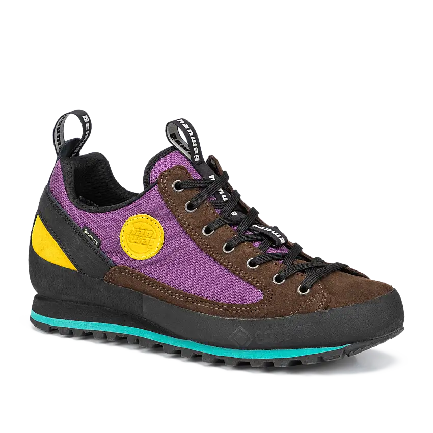 Hanwag Men's Rotpunkt Low Gore-Tex Brown/violet