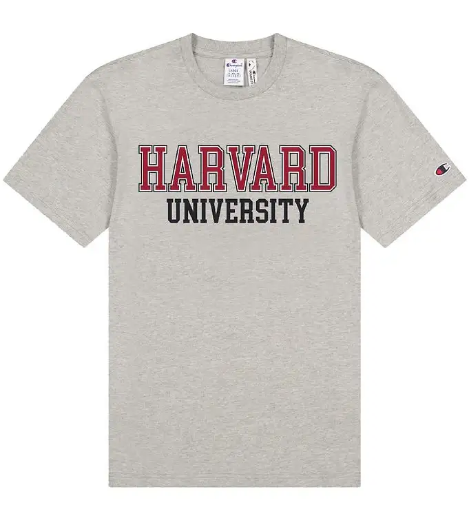 Champion Fashion T-shirt - Gråmelerad
