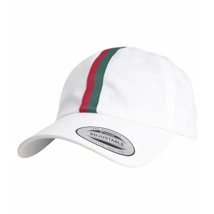Stripe Dad Hat