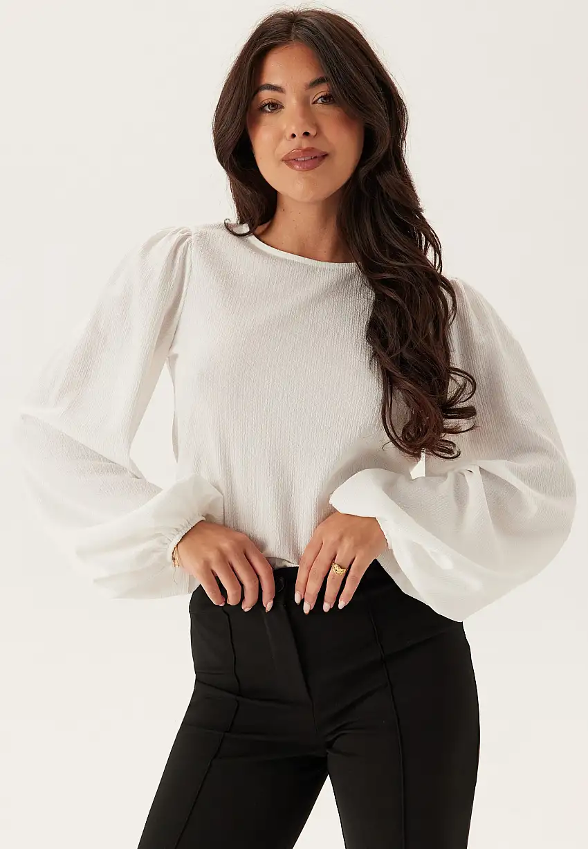 Puff Long Sleeve Blouse 25171530