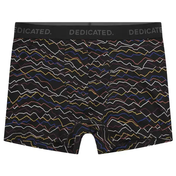 DEDICATED - Boxer Briefs Kalix Line Mountain - Underkläder