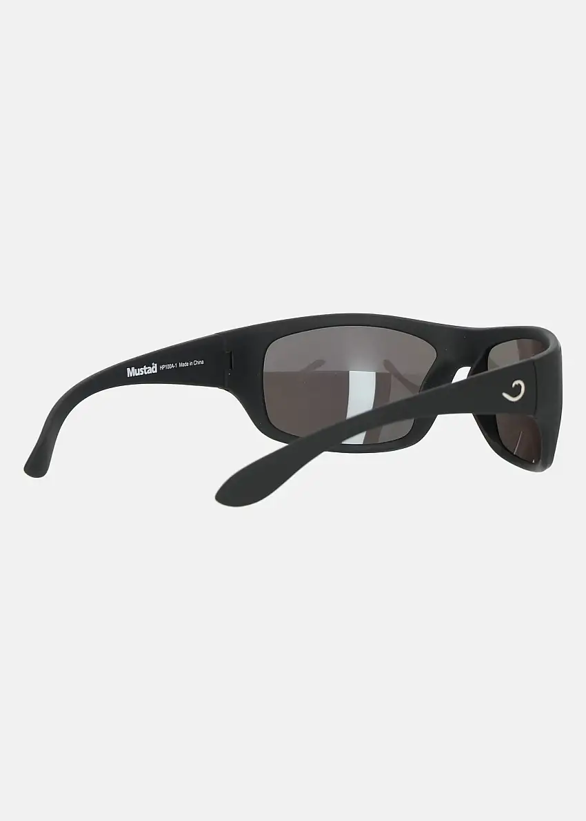 HP100A-1, Polarized Sunglasses 15543575