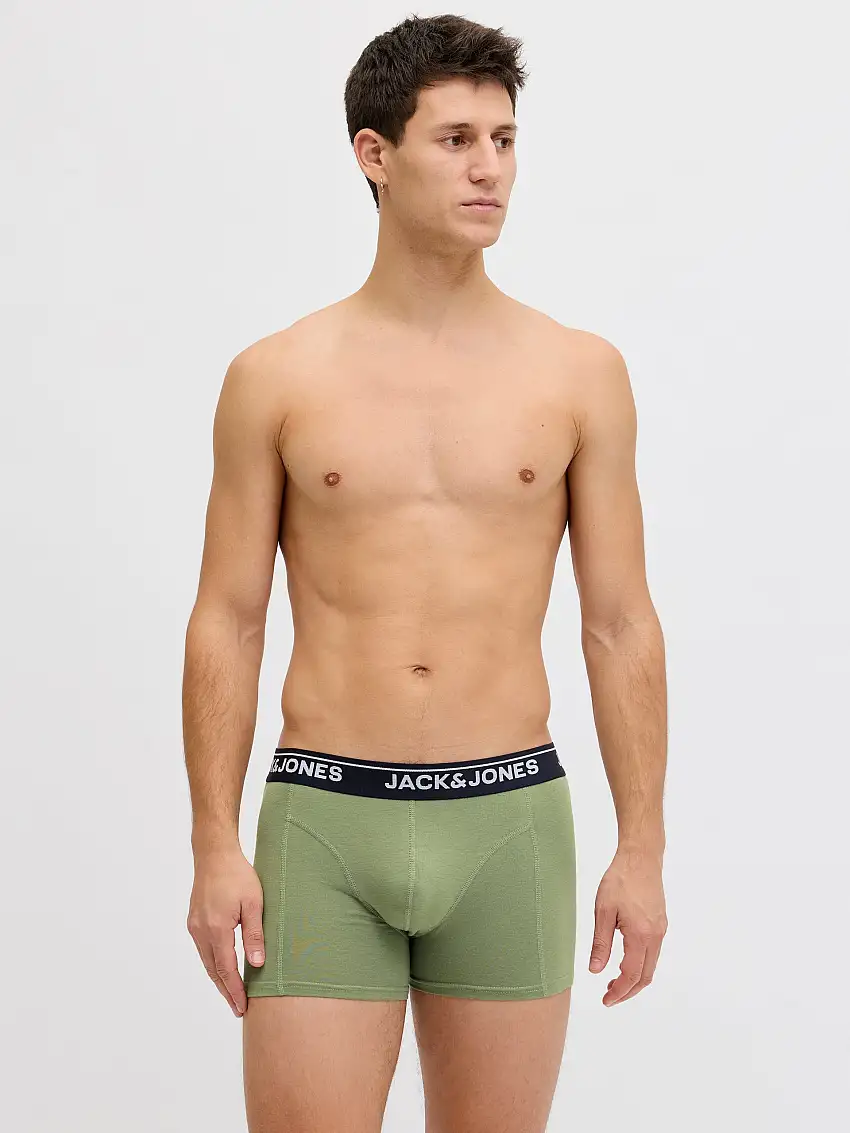 10-pack Boxershorts 47380991