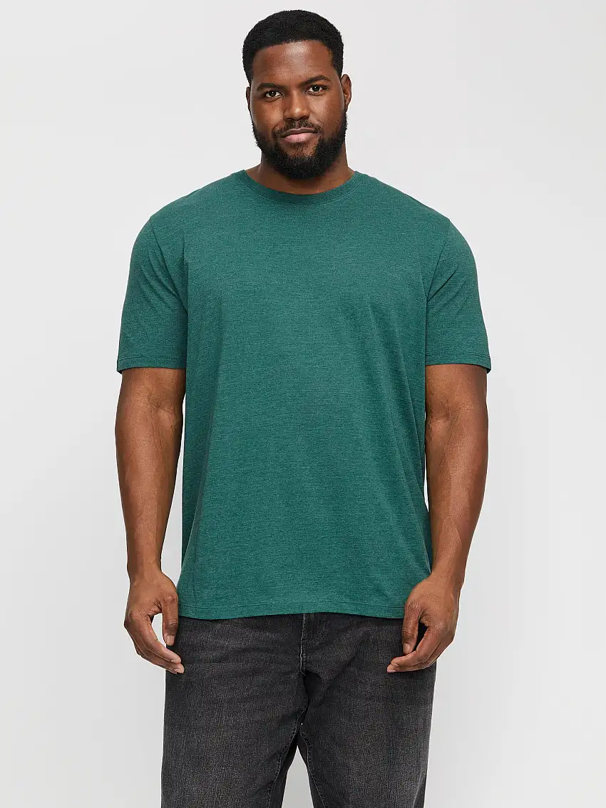 Plus Size Enfärgat T-shirt 17333812