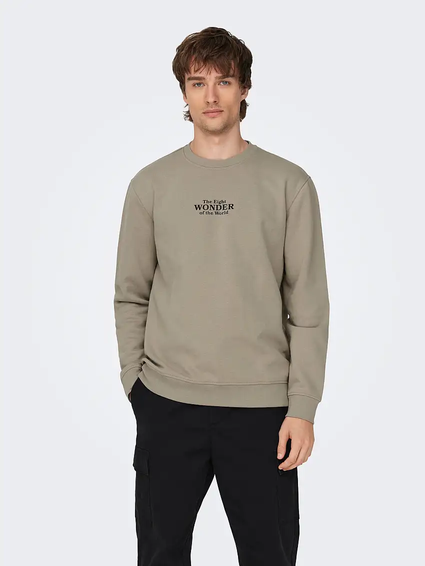 ONSCELEBRITY Sweatshirt 25956415