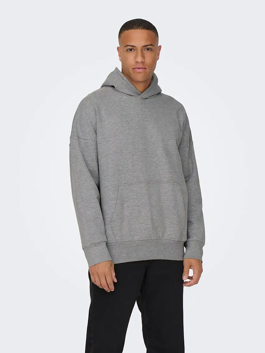 ONSDAN Sweatshirt 67681759