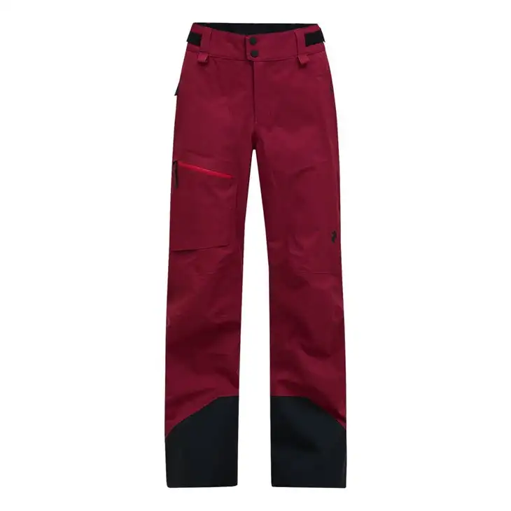 Alpine Gore-Tex 3L Pant dam 38812394
