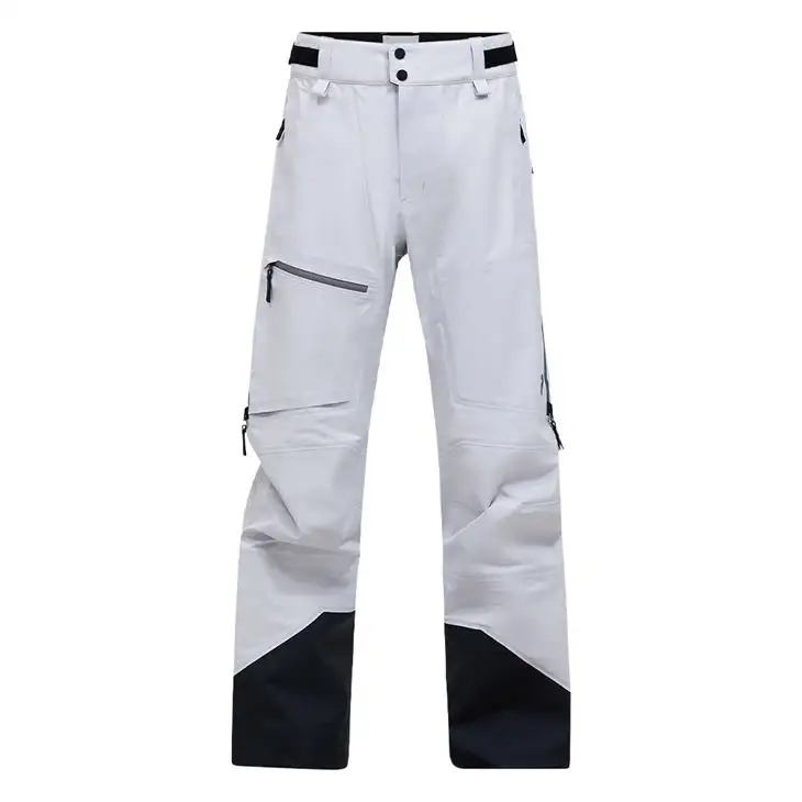 Alpine Gore-Tex 3L Pant herr 37132121
